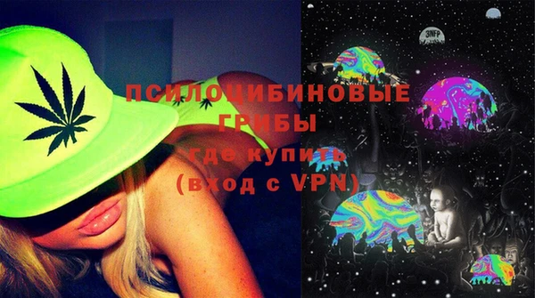 индика Вязники