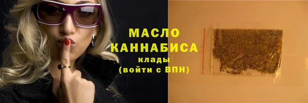 индика Вязники