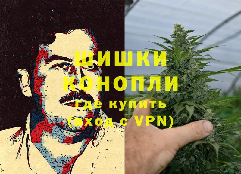 mega   Электрогорск  Бошки марихуана THC 21% 